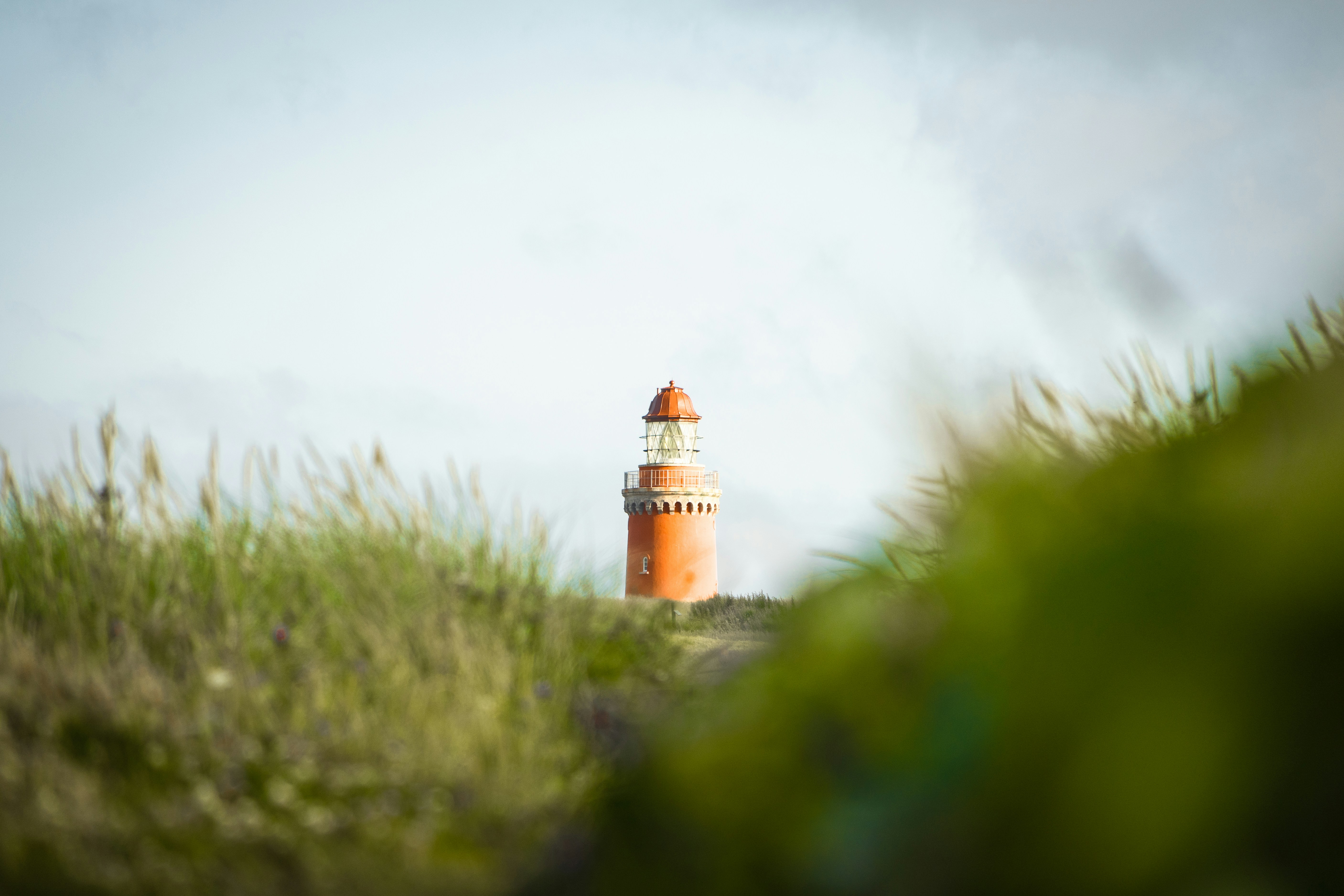 melina kiefer zNMBXF7pjfs unsplash