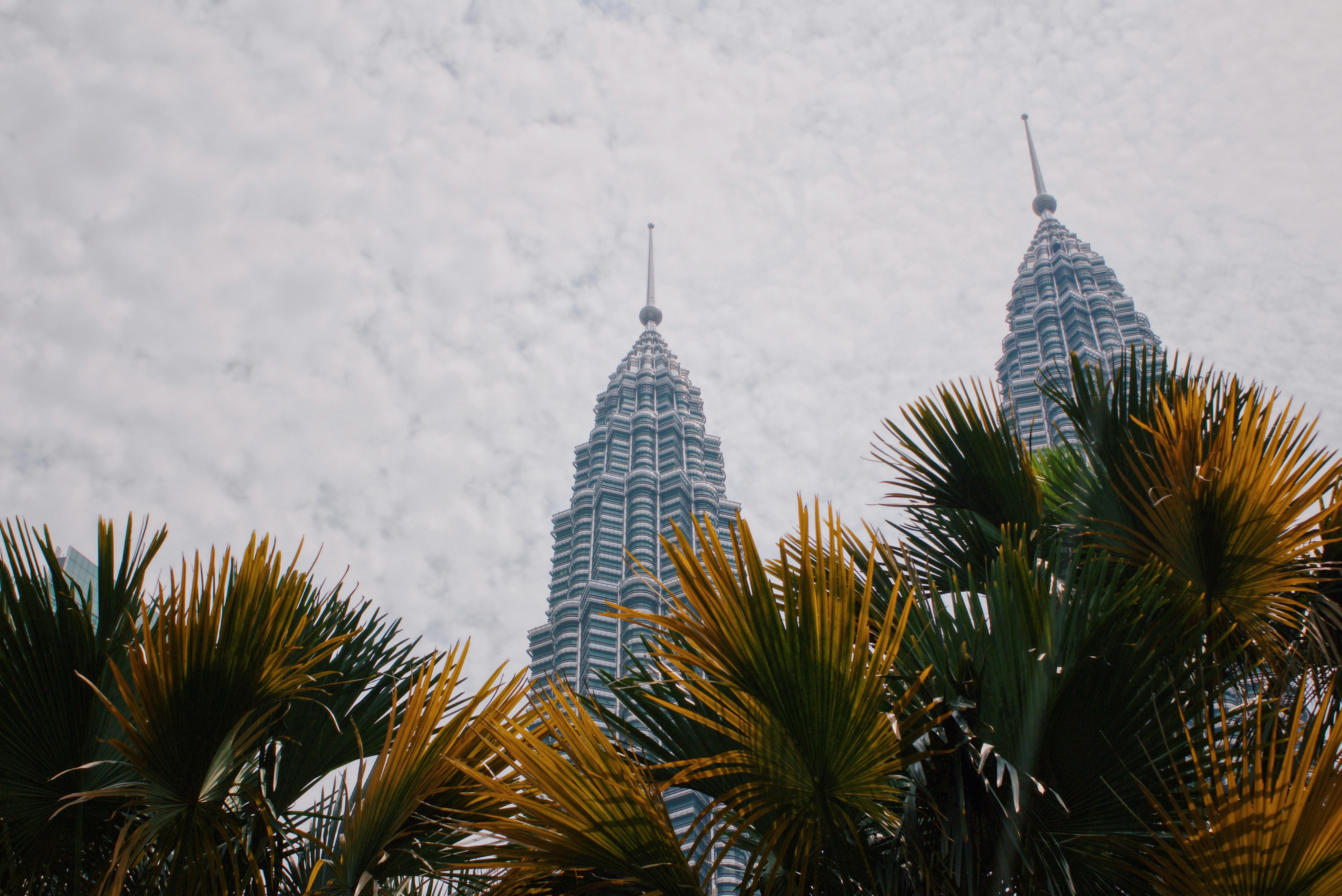 k8 JIMiZsEpQeU unsplash