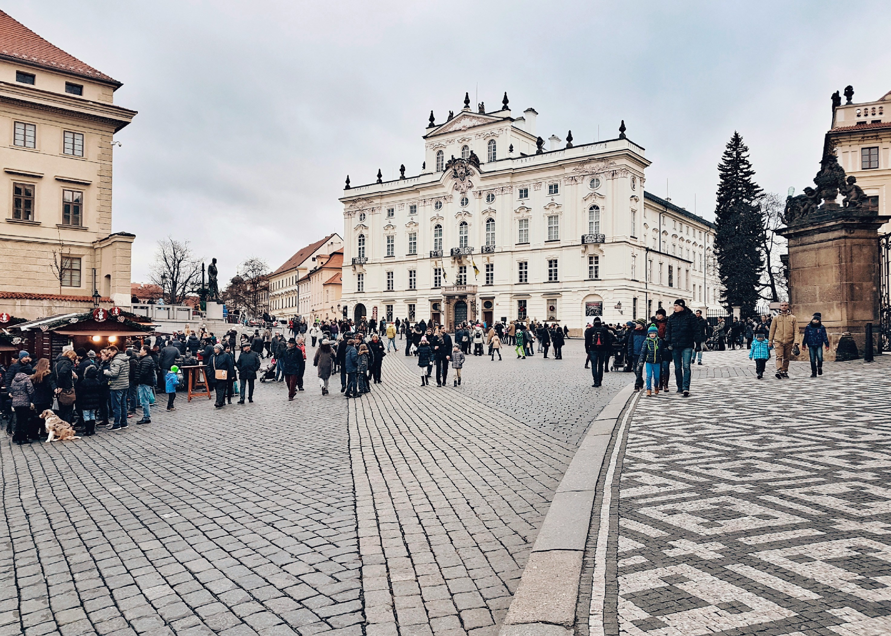 cecilia rodriguez suarez U2aUJvVqkU8 unsplash