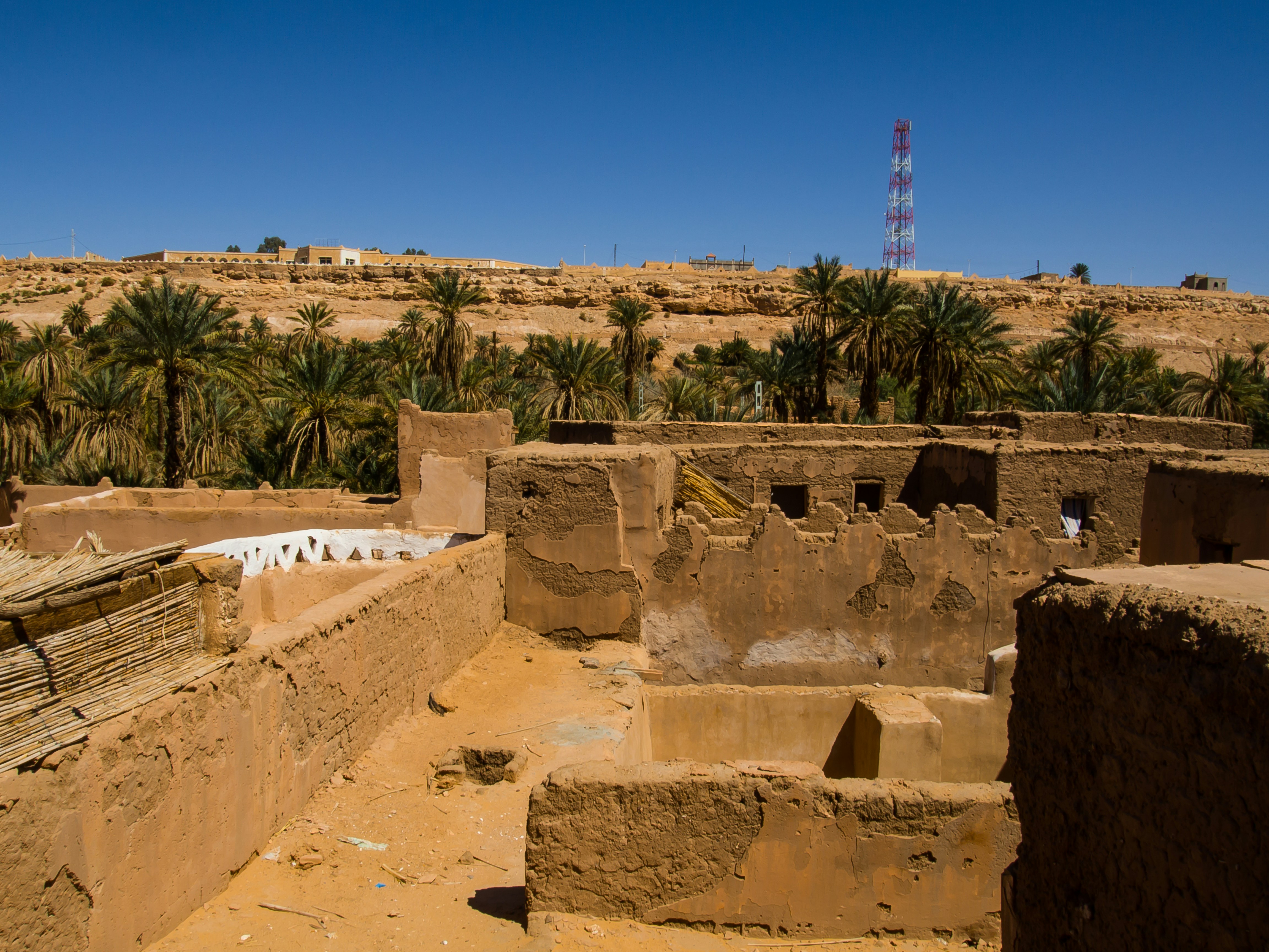 halima bouchouicha lJLIz2wMboo unsplash