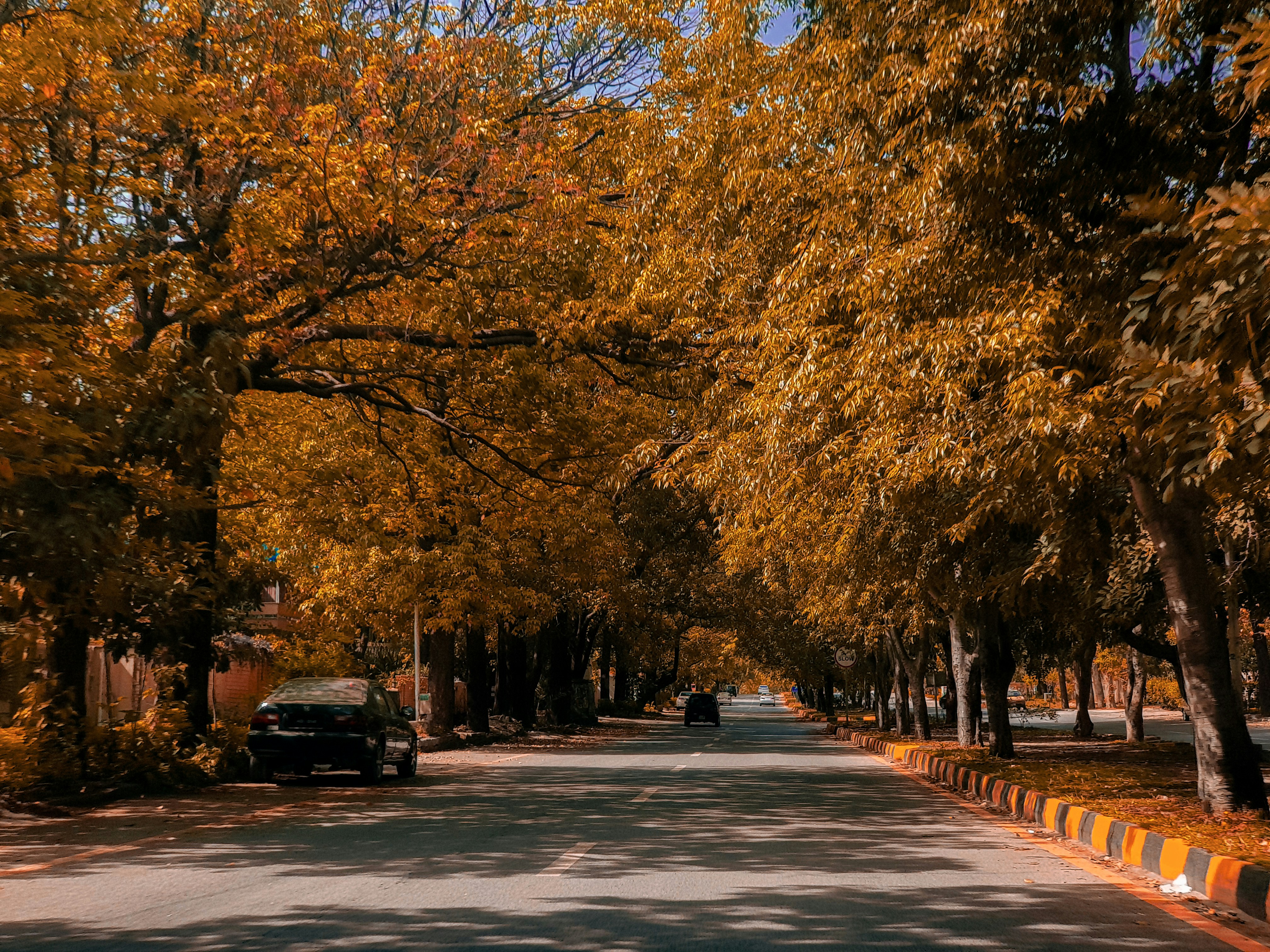 sakhi saad mD1R4A5L5RY unsplash