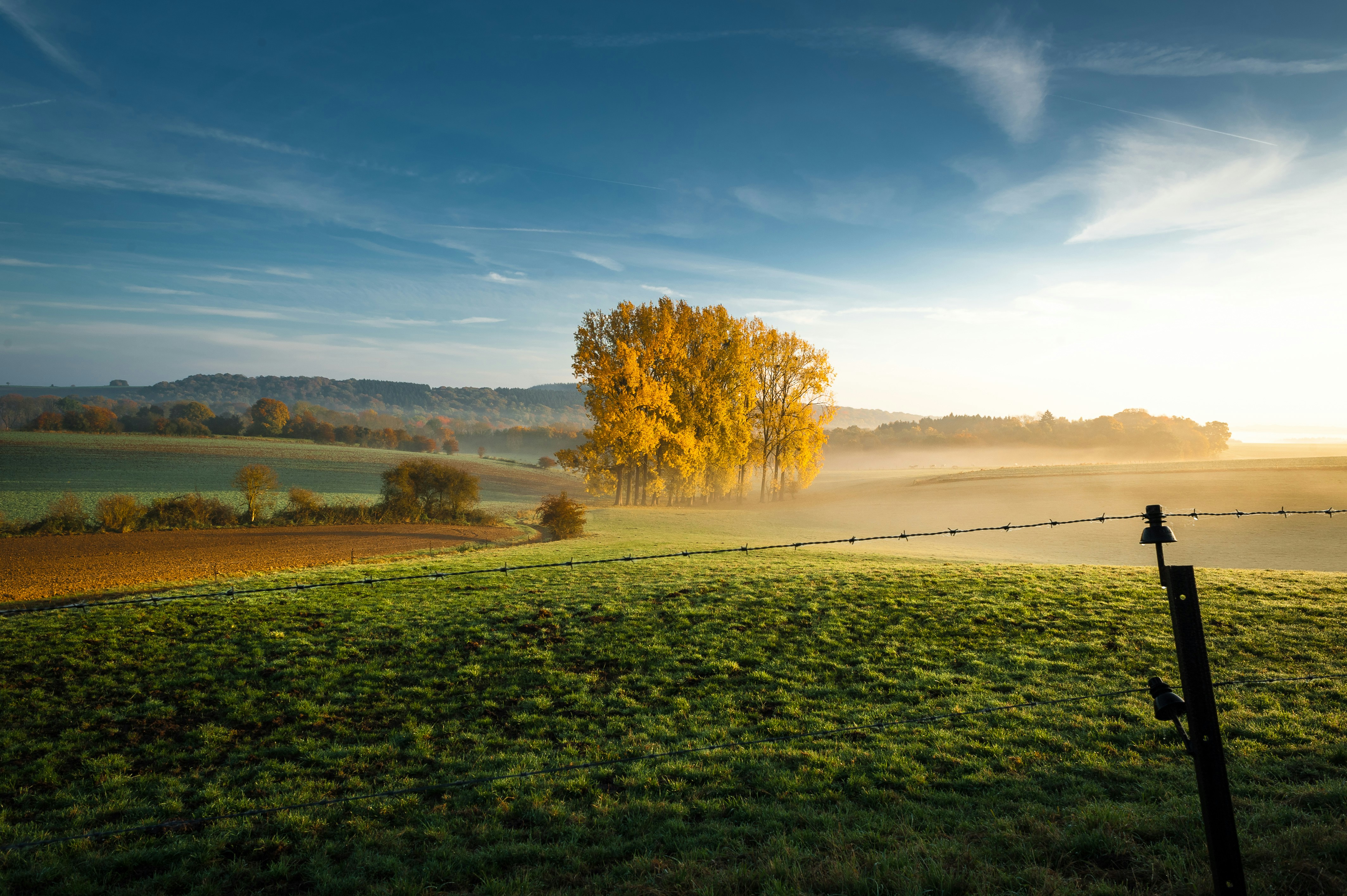 vincent foret Goh3HHwu0D4 unsplash